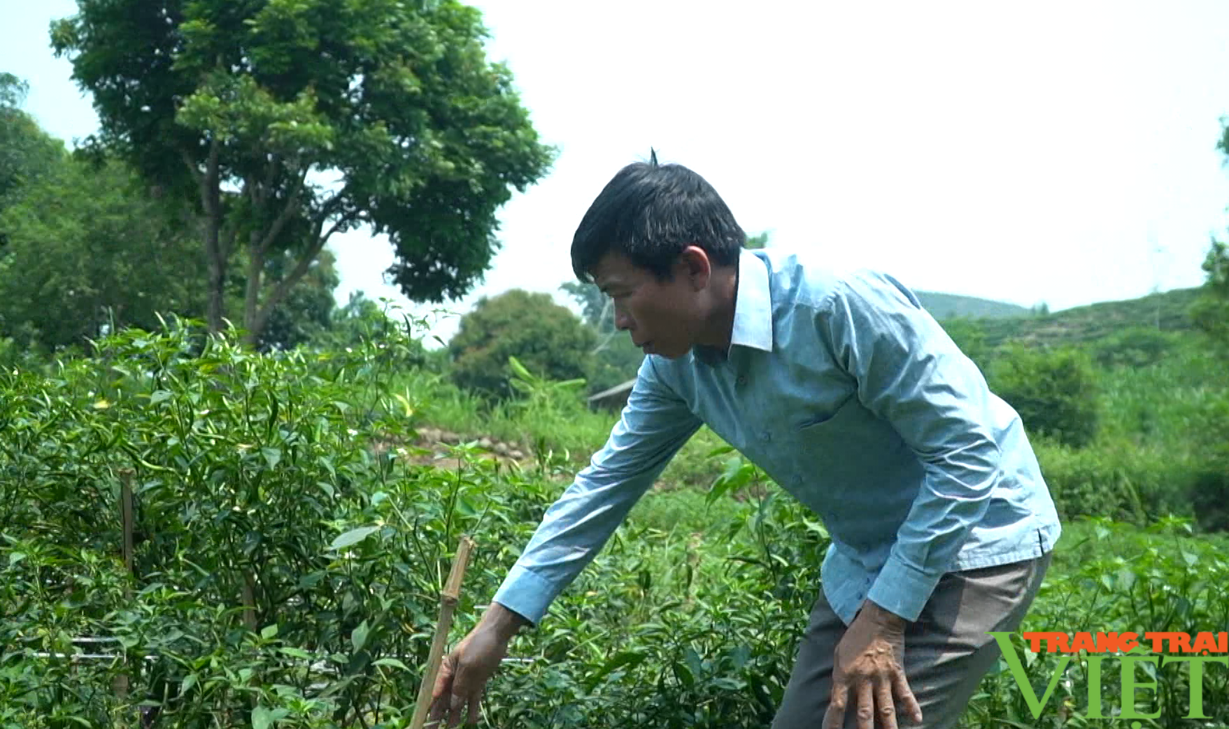 Giao thông được làm mới, nông dân thay đổi phương thức sản xuất, bản làng ở Mường Khoa thêm trù phú - Ảnh 5.