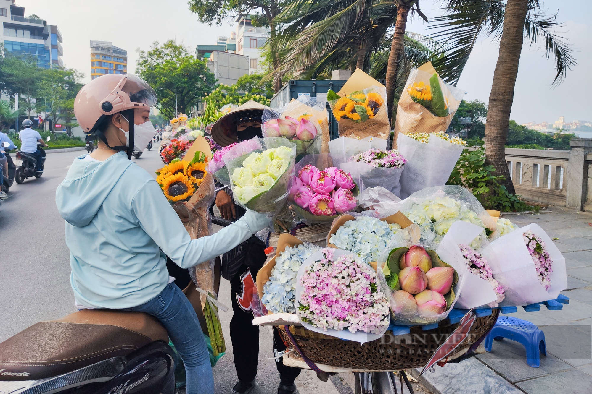 Hà Nội: Hoa sen vào mùa, lung linh trên nhiều tuyến phố - Ảnh 6.