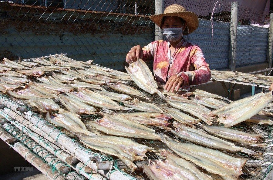 Cá khô, cá hộp trở thành "ngôi sao sáng" trong xuất khẩu - Ảnh 1. Cá khô, cá hộp trở thành "ngôi sao sáng" trong xuất khẩu - Ảnh 1.