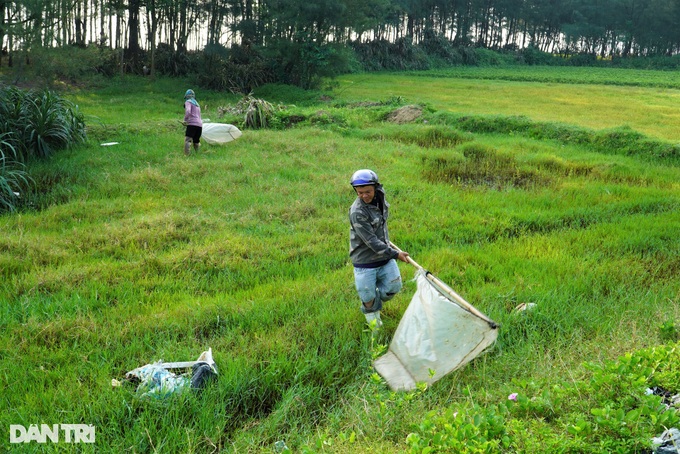 Hai vợ chồng 2 vợt, vượt 150km săn &quot;giặc cỏ&quot; kiếm tiền triệu - Ảnh 1.