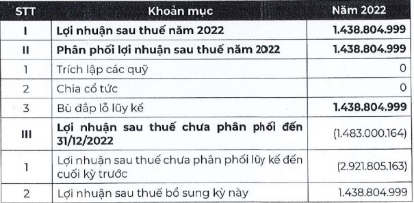 ĐHĐCĐ Bông Bạch Tuyết: Không thực hiện chia cổ tức năm 2022 - Ảnh 2.