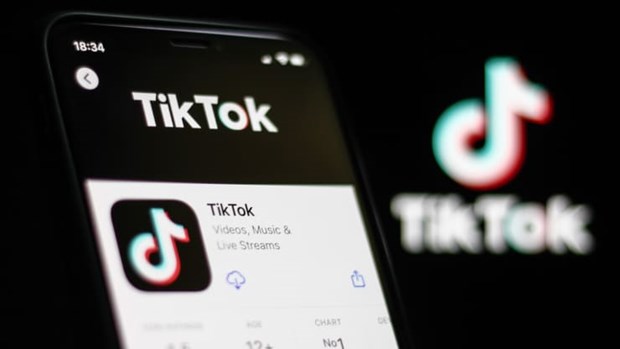 TikTok thử nghiệm chatbot AI để tương tác với người dùng

 - Ảnh 1.