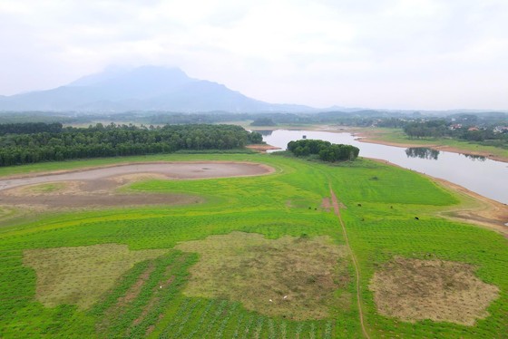 Hà Nội: Hàng nghìn hộ dân sống giữa 2 nhà máy nước lớn nhất miền Bắc lại phải mua từng can, chậu nước sinh hoạt - Ảnh 5.