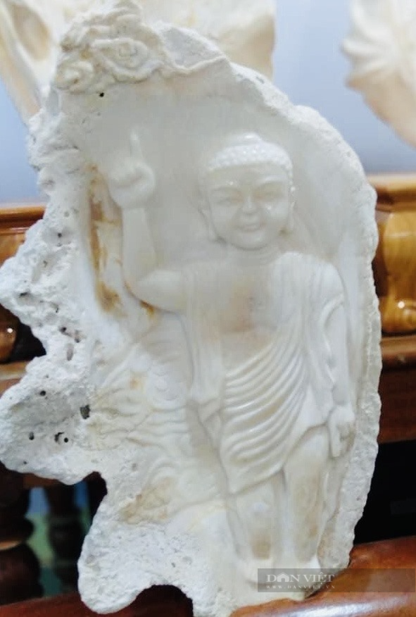 Một ngôi chùa có bộ sưu tập điêu khắc tượng Phật trên vỏ ốc xác lập kỷ lục Việt Nam - Ảnh 4.
