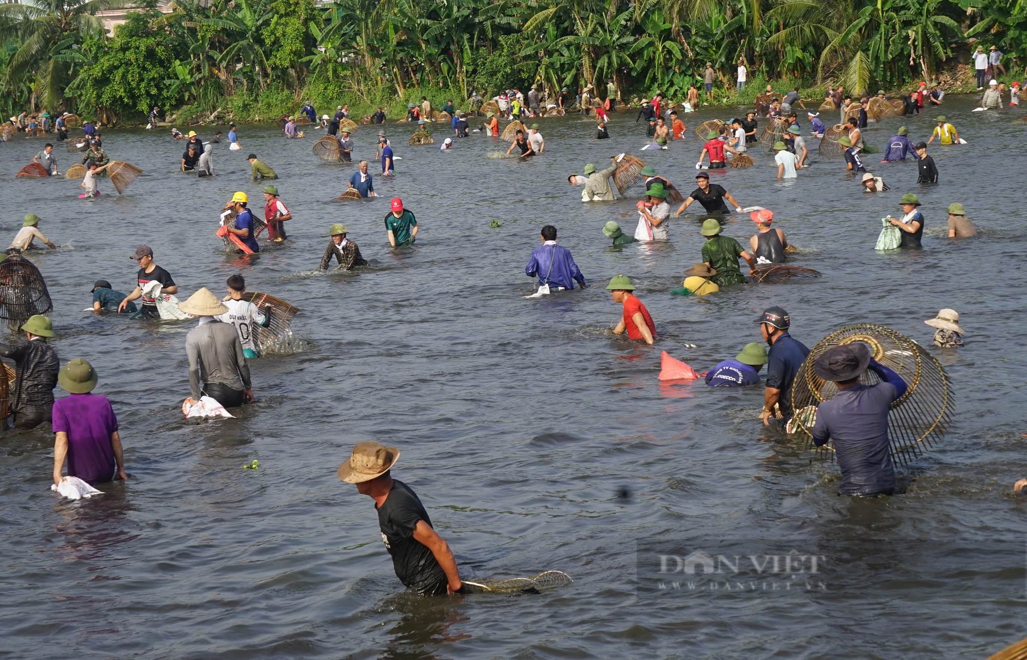 Sau một hồi trống lớn, hơn 600 người ào xuống bàu Mực ở Nghệ An trổ tài đánh cá bằng nơm - Ảnh 9.