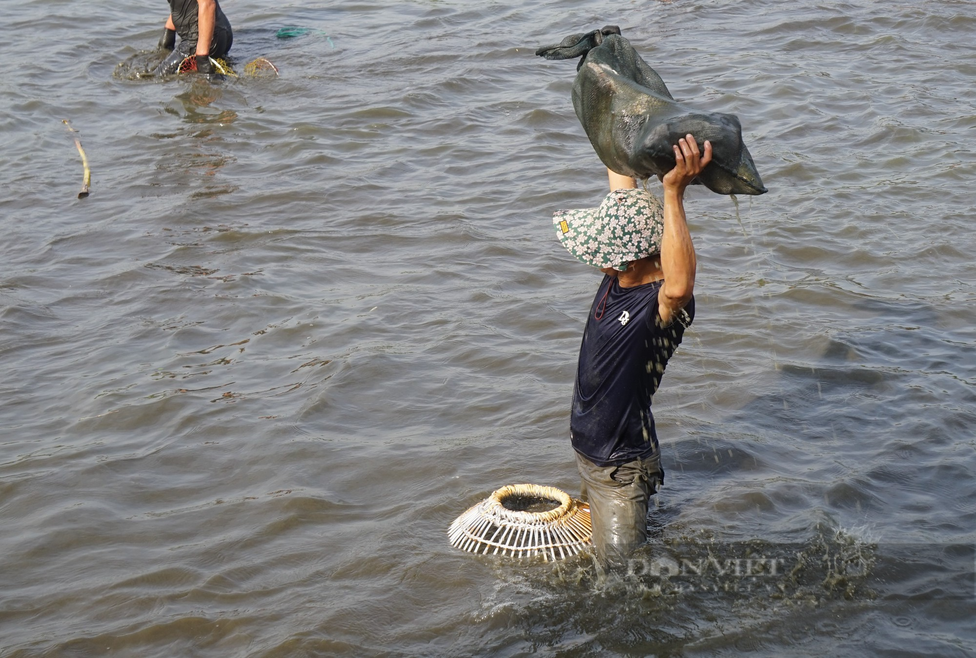 Sau một hồi trống lớn, hơn 600 người ào xuống bàu Mực ở Nghệ An trổ tài đánh cá bằng nơm - Ảnh 10.