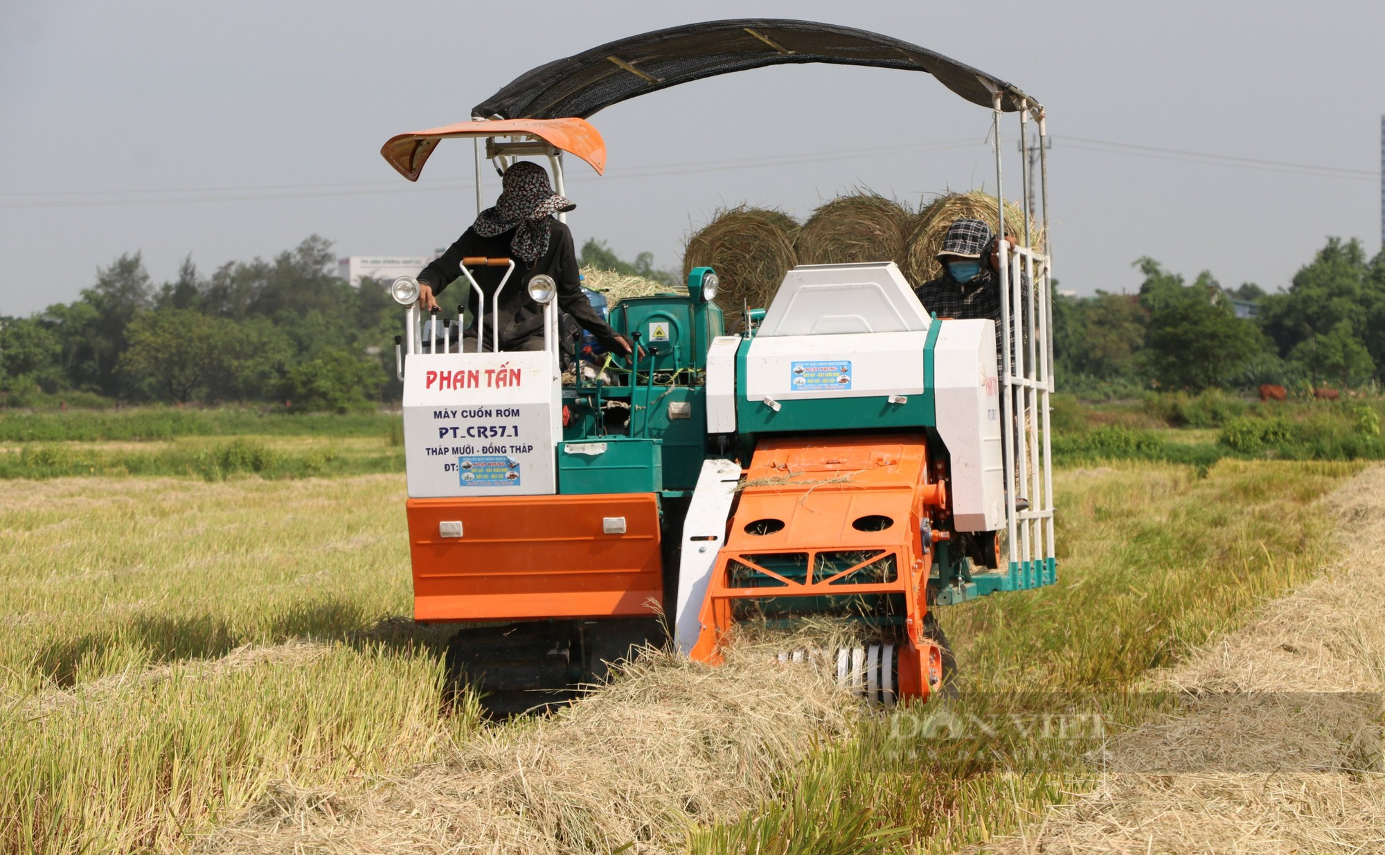 Đầu tư máy móc hiện đại đi gom thứ nhà nông vứt bỏ mà thu về hàng trăm triệu đồng - Ảnh 6.