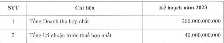 MHC dự trình kế hoạch lãi 40 tỷ đồng, không chia cổ tức 2022 - Ảnh 1.