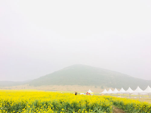 Hạ cánh nơi... Jeju - Ảnh 2.