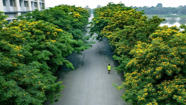 Ecopark- “nơi có gió” chữa lành cho người trưởng thành và thiên nhiên hạnh phúc cho trẻ nhỏ - Ảnh 2.