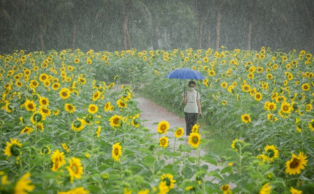 Ecopark- “nơi có gió” chữa lành cho người trưởng thành và thiên nhiên hạnh phúc cho trẻ nhỏ - Ảnh 3.