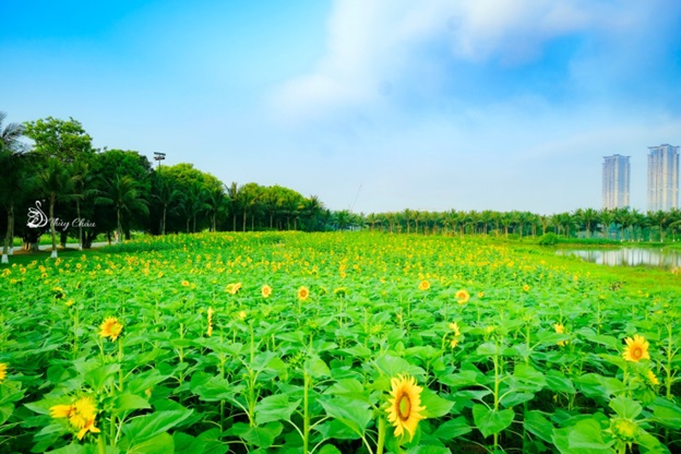 Ecopark- “nơi có gió” chữa lành cho người trưởng thành và thiên nhiên hạnh phúc cho trẻ nhỏ - Ảnh 4.