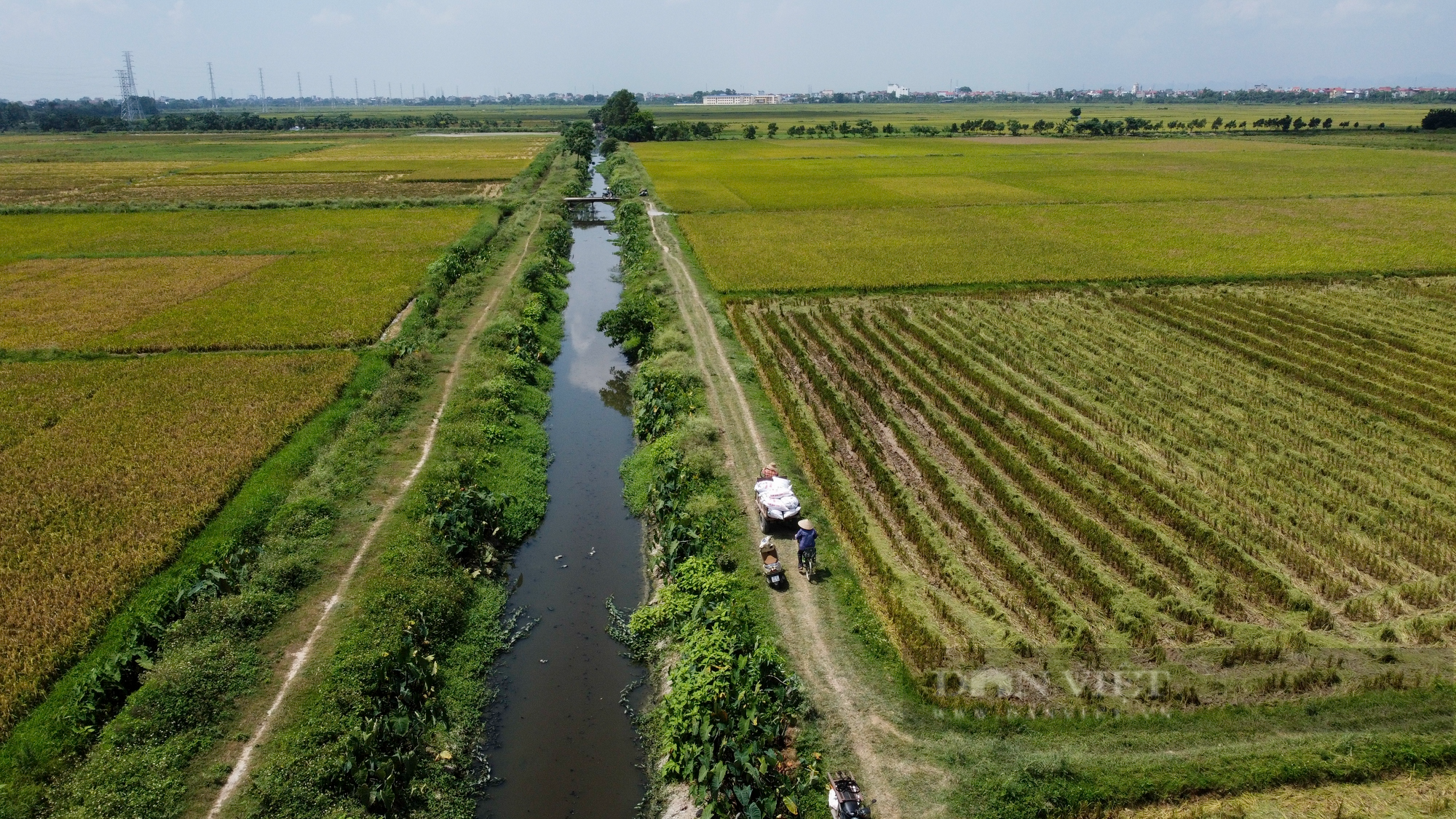 Nước thải và rác làm ảnh hưởng năng suất lúa của nông dân ngoại thành Hà Nội - Ảnh 2.