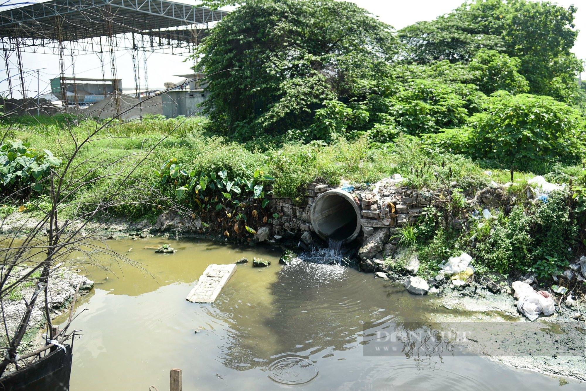 Nước thải và rác làm ảnh hưởng năng suất lúa của nông dân ngoại thành Hà Nội - Ảnh 4.