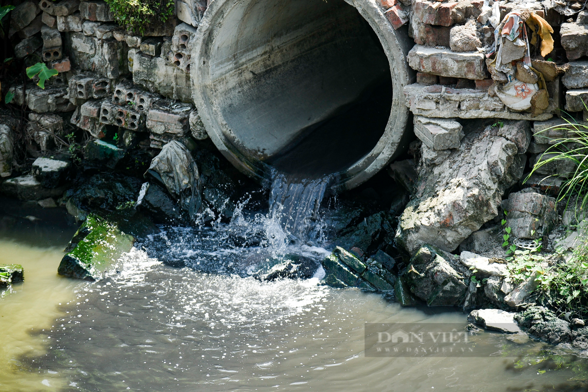 Nước thải và rác làm ảnh hưởng năng suất lúa của nông dân ngoại thành Hà Nội - Ảnh 5.