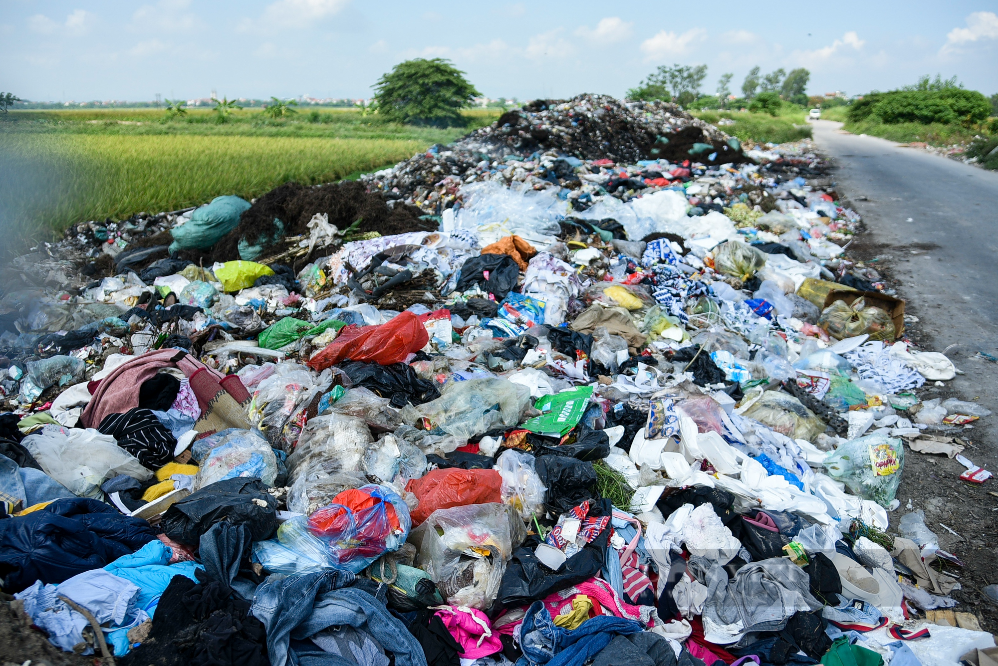 Nước thải và rác làm ảnh hưởng năng suất lúa của nông dân ngoại thành Hà Nội - Ảnh 8.