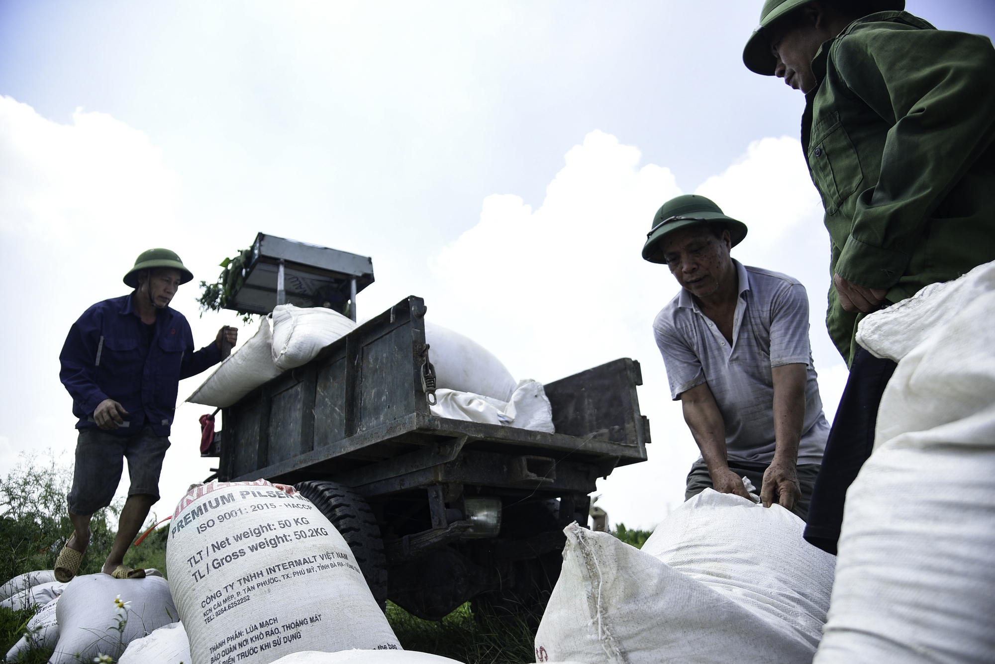 Nông dân ngoại thành Hà Nội lo lúa giảm năng suất vì kênh dẫn nước bị ô nhiễm - Ảnh 7.