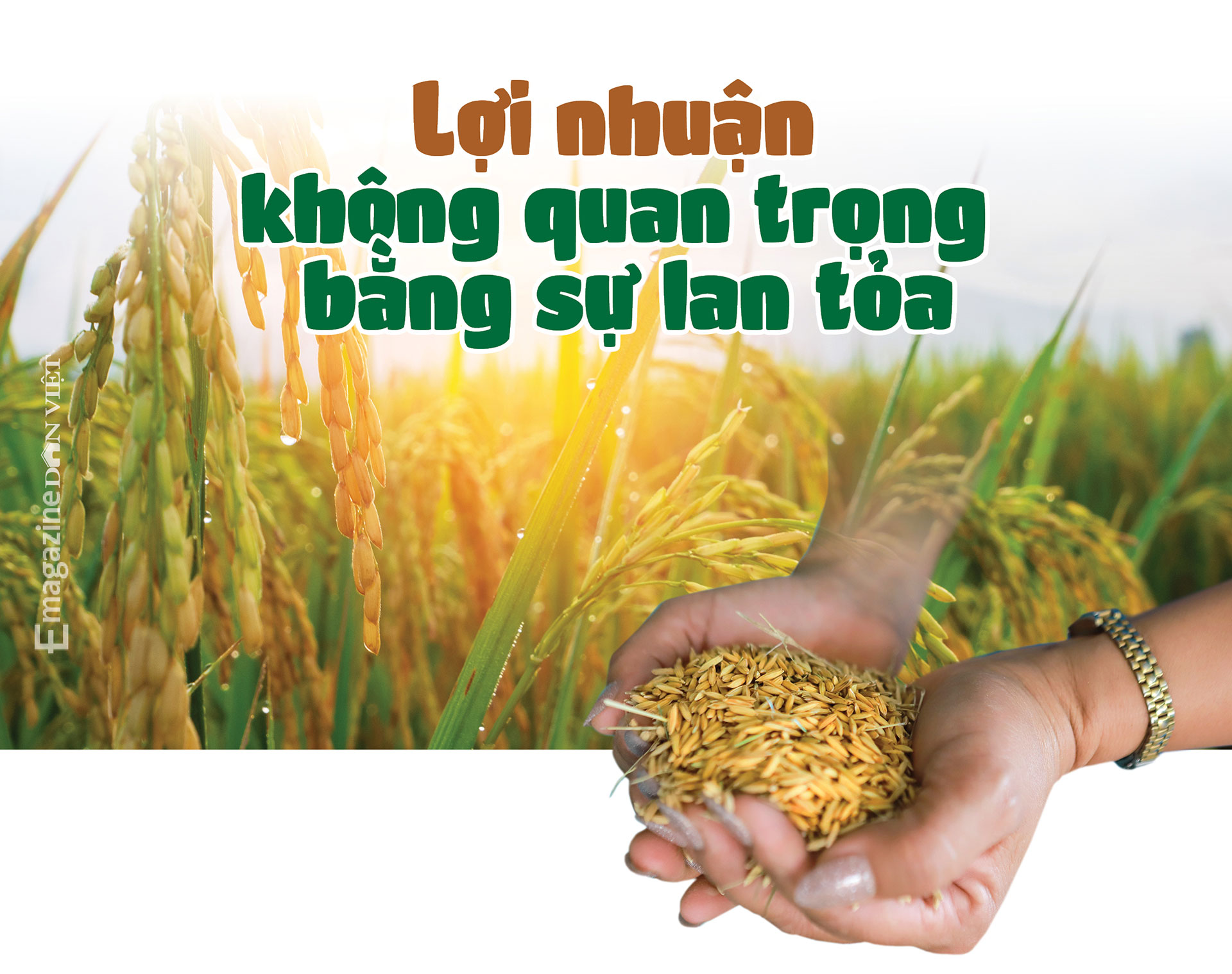 Chị Trần Thị Lanh, Giám đốc HTX Quang Lanh: &quot;Bà trưởng thôn nông dân&quot; sở hữu nhiều cái &quot;nhất&quot; - Ảnh 14.