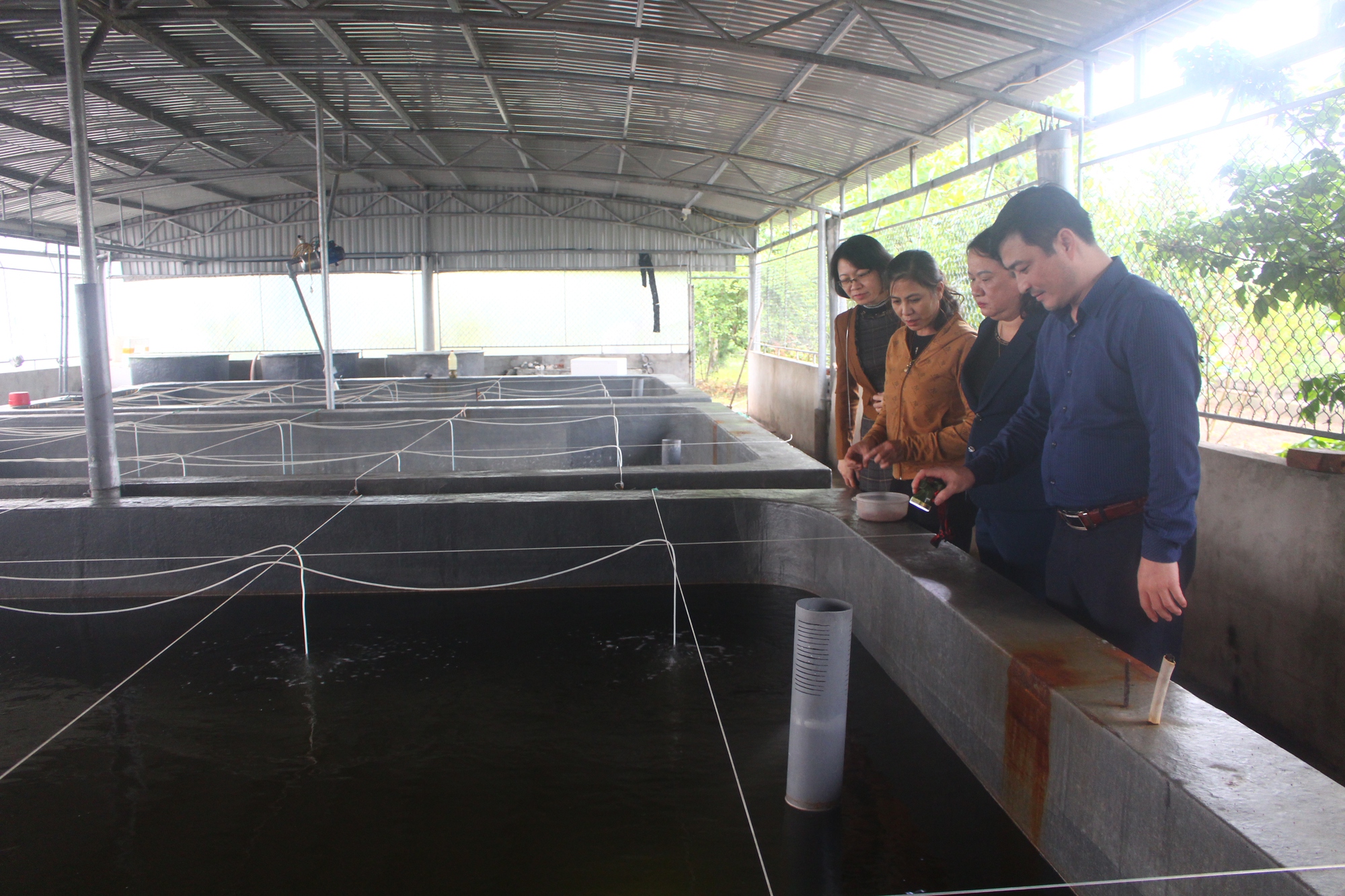 Hội Nông dân Thái Bình hỗ trợ vốn, xây dựng các mô hình liên kết giúp hội viên làm giàu - Ảnh 2.