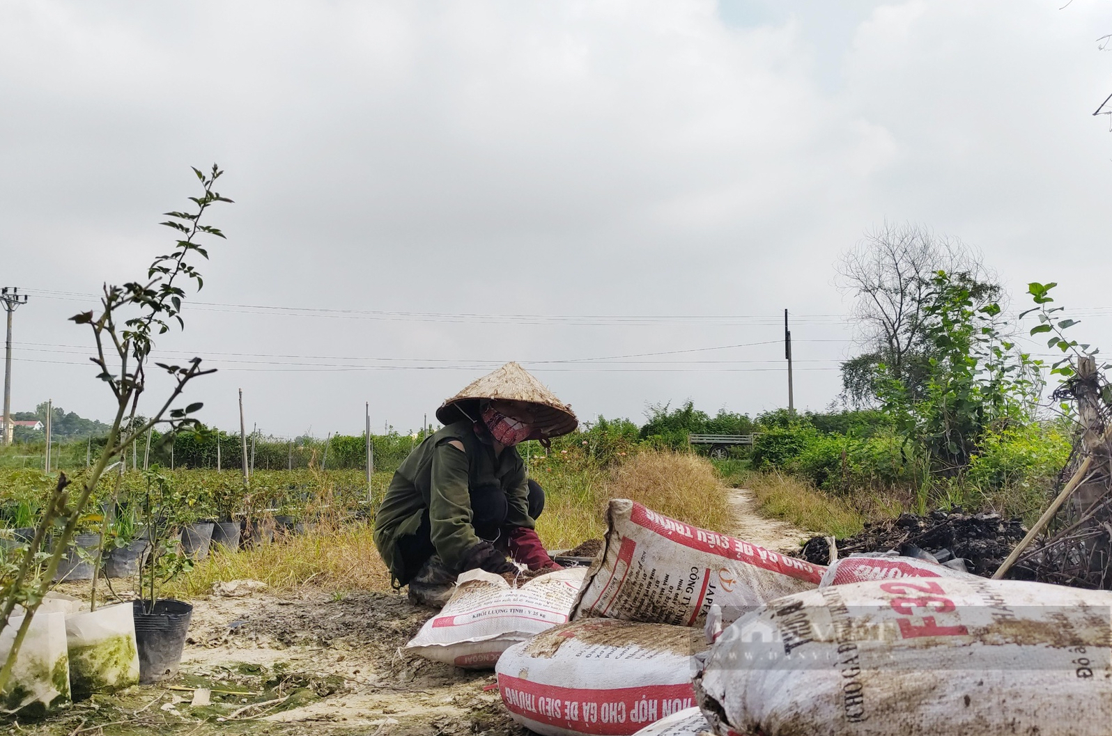 Đổi mới công tác dân nguyện, “điểm nóng” được giải quyết từ Nghị trường - Ảnh 8.