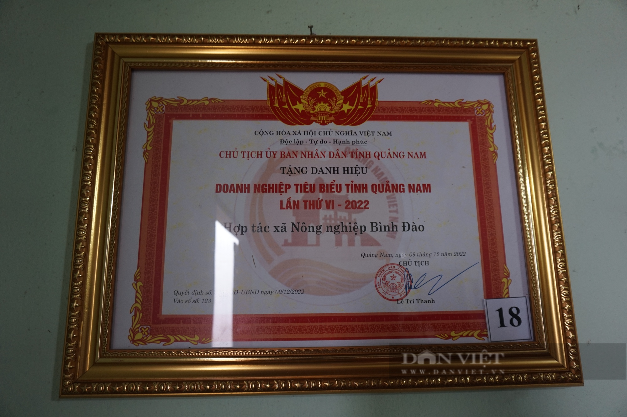 Tiên phong trong hoạt động tích tụ ruộng đất, một hợp tác xã ở Quảng Nam được tôn vinh - Ảnh 12.