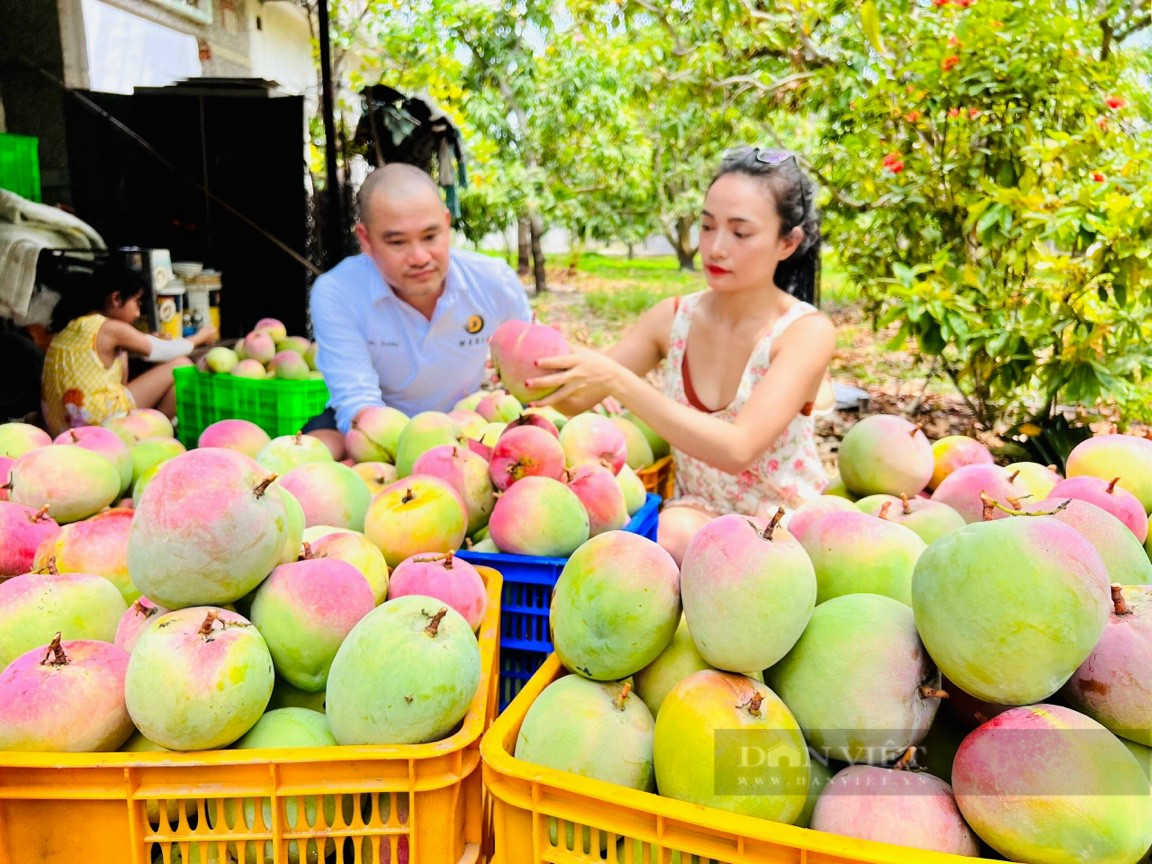 Trên 798 ngàn lượt khách tham quan, nghỉ dưỡng tại Khánh Hòa - Ảnh 2.