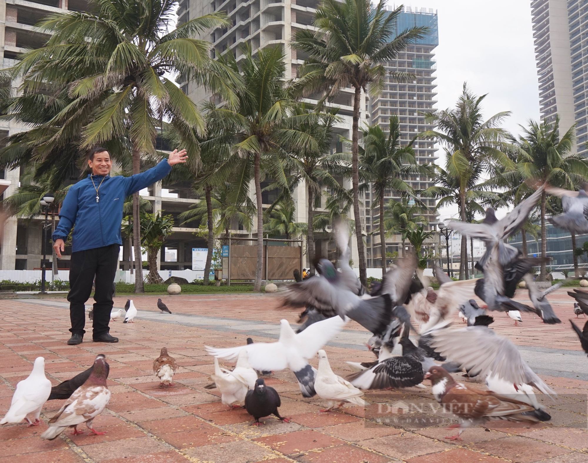 Người đàn ông 13 năm làm “cha” của hơn 1.000 con chim bồ câu ở Đà Nẵng - Ảnh 1.