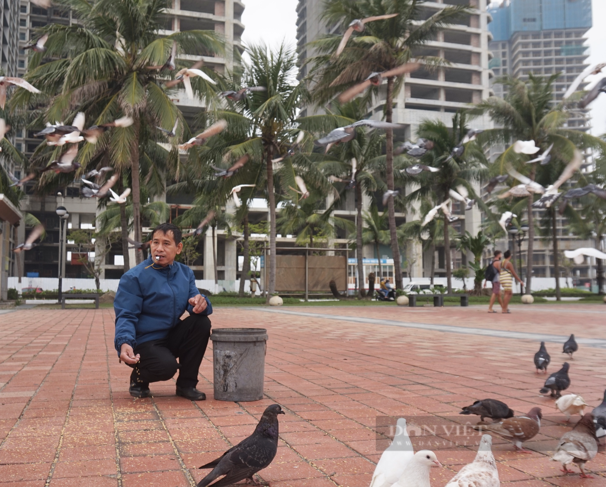 Người đàn ông 13 năm làm “cha” của hơn 1.000 con chim bồ câu ở Đà Nẵng - Ảnh 5.