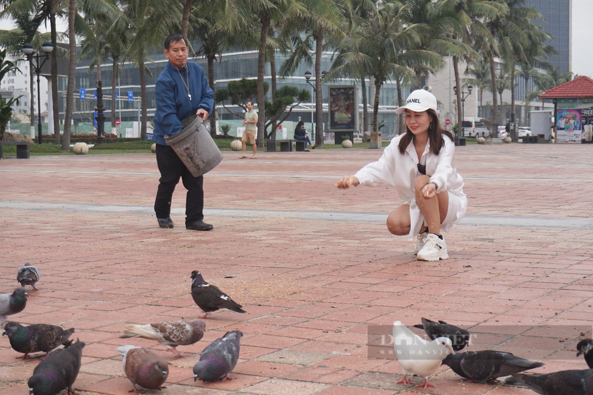 Người đàn ông 13 năm làm “cha” của hơn 1.000 con chim bồ câu ở Đà Nẵng - Ảnh 8.