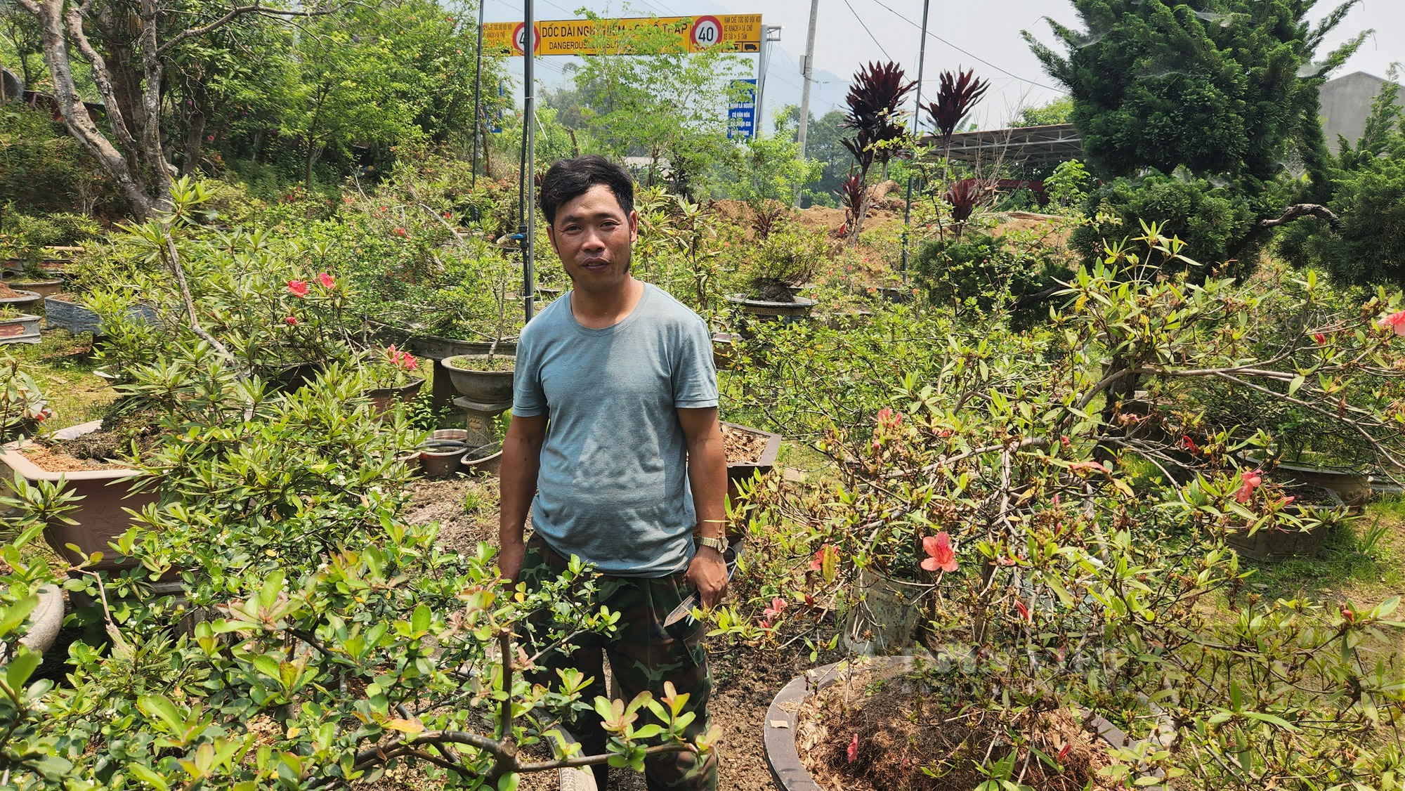 Trồng các loại hoa, cây cảnh bán ra thị trường, 8X Lai Châu thu gần nửa tỷ đồng/năm - Ảnh 4.