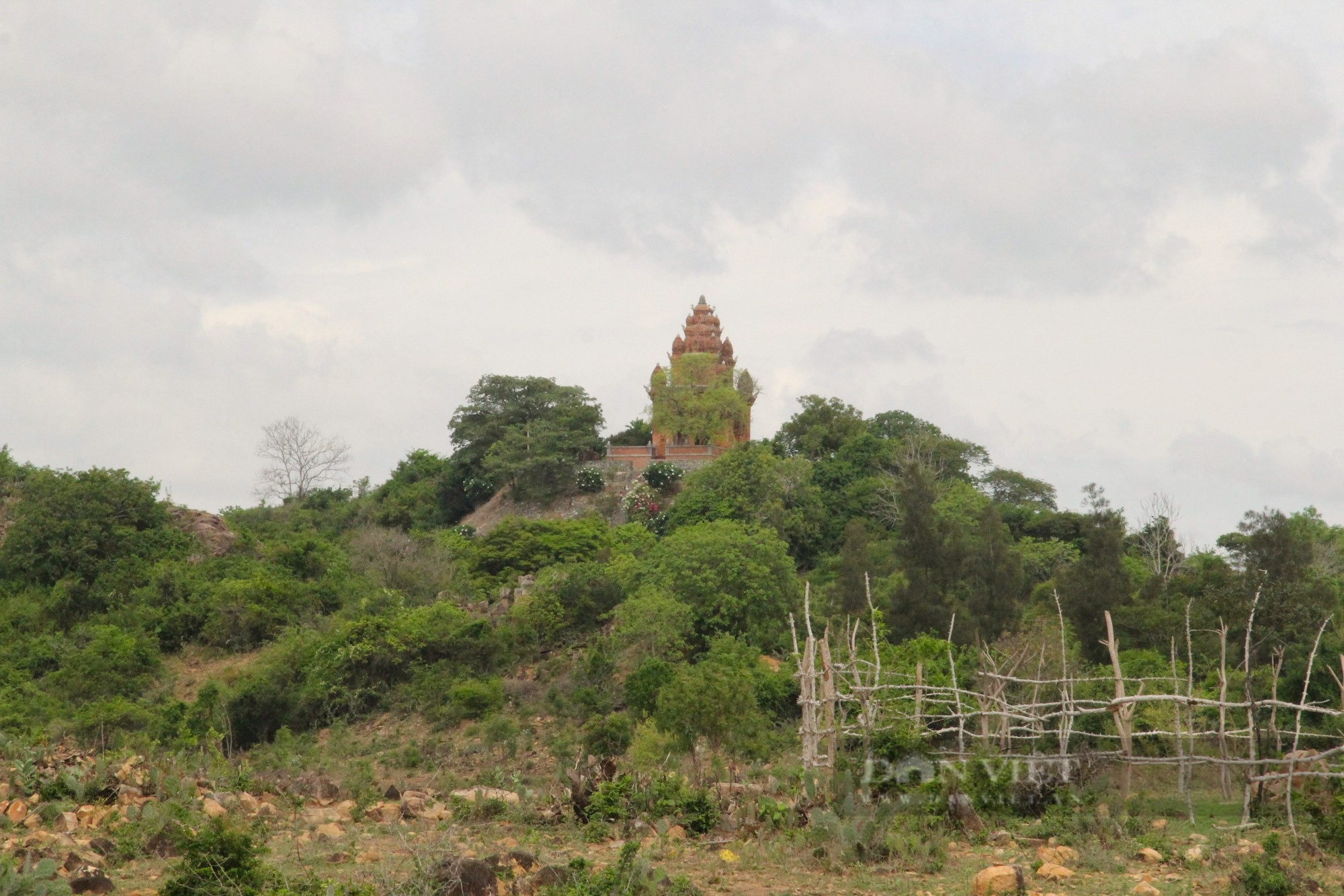 Bí ẩn bảo vật quốc gia bên trong tháp Chăm thờ vị vua cuối cùng của vương quốc Chămpa ở Ninh Thuận - Ảnh 1.