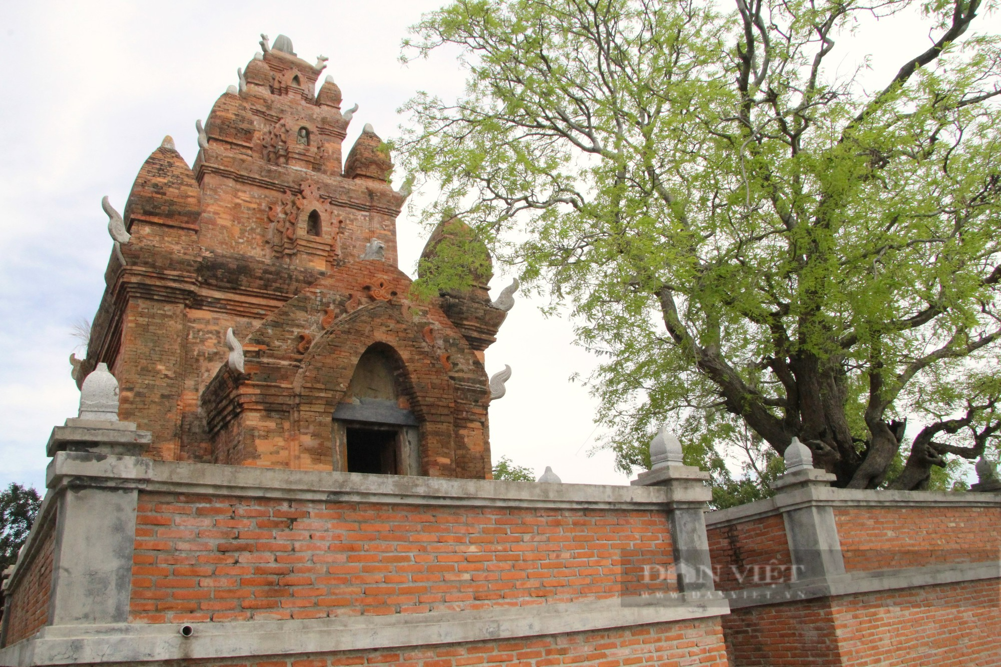 Bí ẩn bảo vật quốc gia bên trong tháp Chăm thờ vị vua cuối cùng của vương quốc Chămpa ở Ninh Thuận - Ảnh 10.