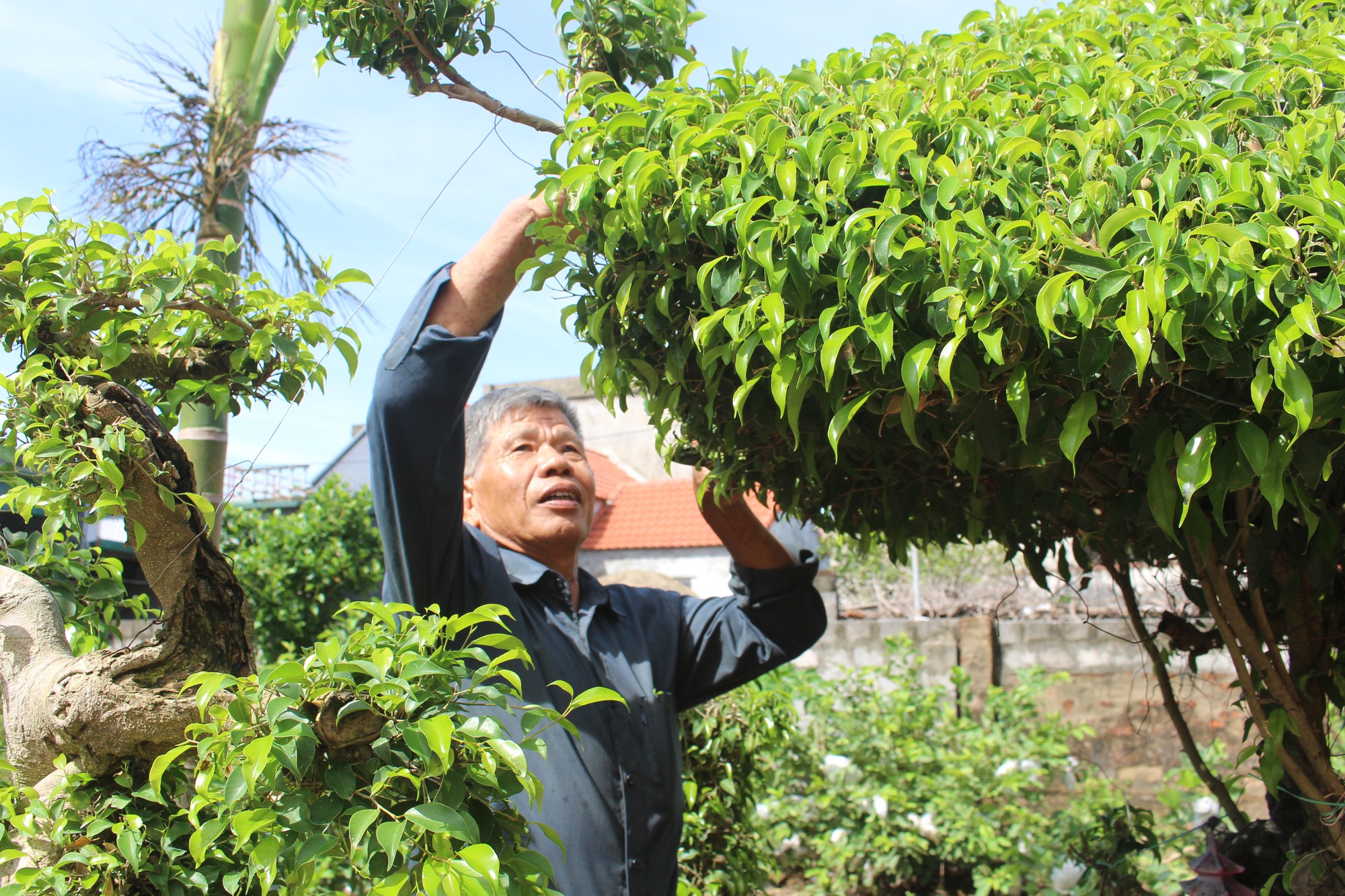 Nam Định: Xã Yên Cường cán đích nông thôn mới kiểu mẫu - Ảnh 3.