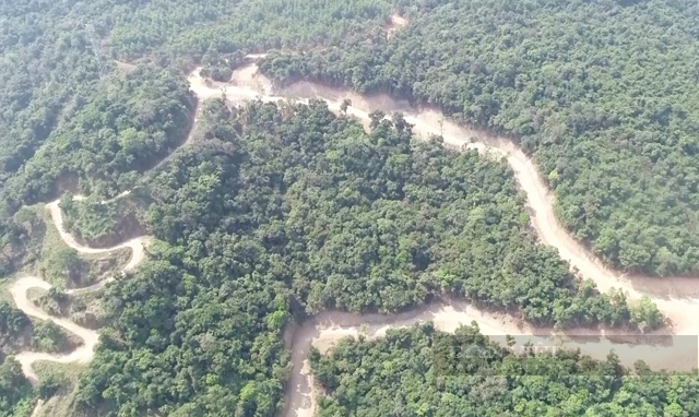 DEOCA GROUP liên quan đến vụ phá rừng Kfw6 tại Phổ Cường tỉnh Quảng Ngãi - Ảnh 5.