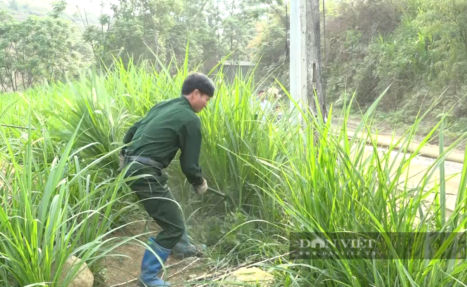 Nuôi đủ các loại gia súc, lão nông ở Lai Châu thu gần nửa tỷ mỗi năm - Ảnh 6.