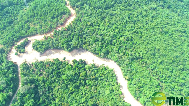 Quảng Ngãi: Hình ảnh tuyến đường DEOCA GROUP đã mở, trên diện tích rừng Kfw6 bị phá trái phép  - Ảnh 3.