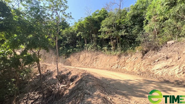 Quảng Ngãi: Hình ảnh tuyến đường DEOCA GROUP đã mở, trên diện tích rừng Kfw6 bị phá trái phép  - Ảnh 7.