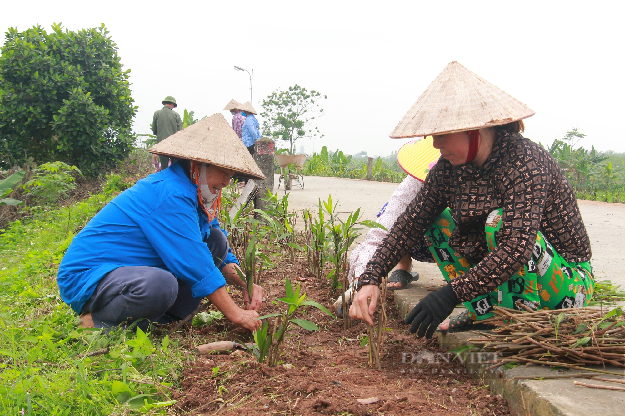 Trường Cán bộ Hội Nông dân Việt Nam khai giảng lớp tập huấn về Chương trình mục tiêu Quốc gia xây dựng nông thôn mới - Ảnh 6.