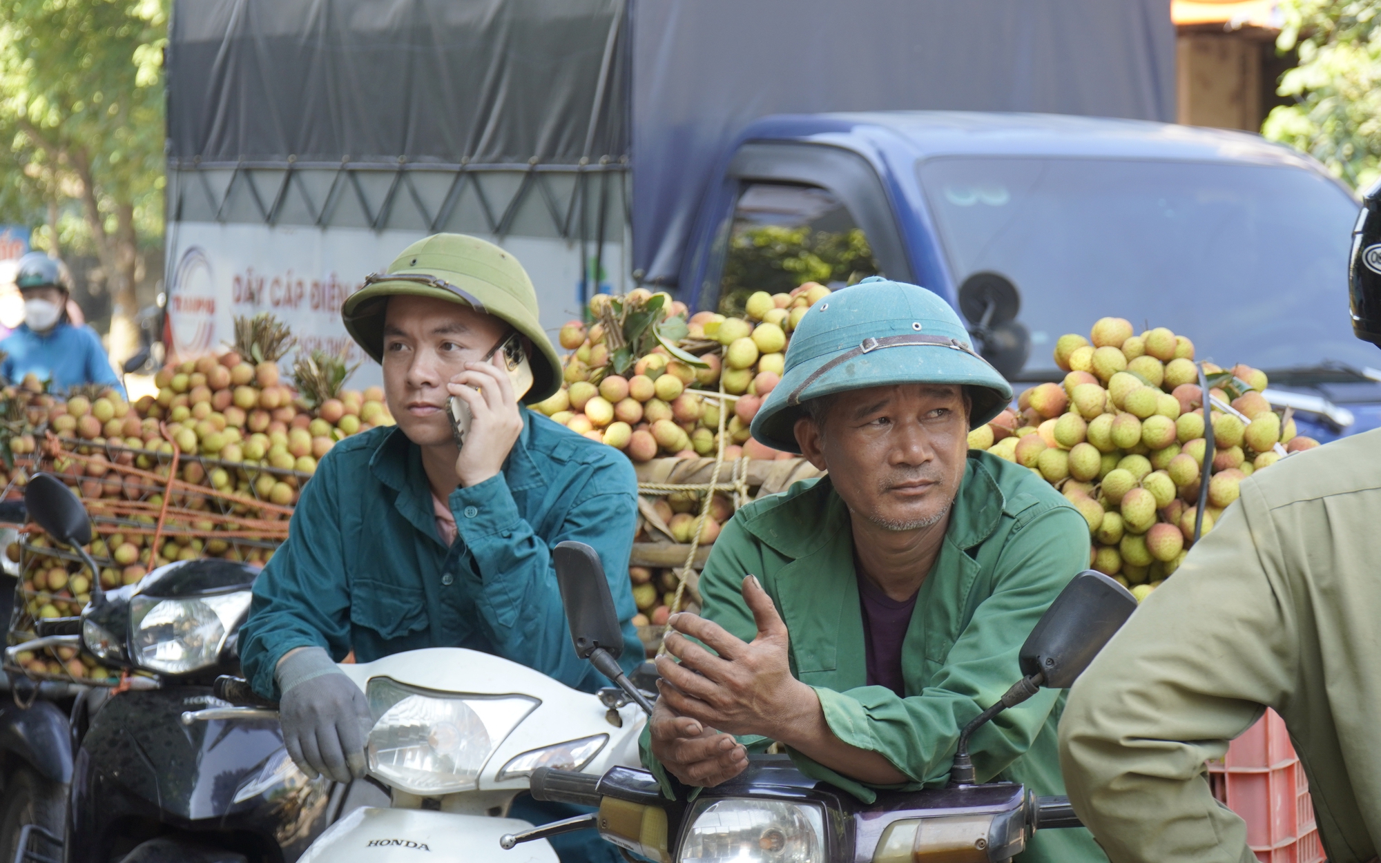 Vải thiều chín sớm Tân Yên hàng tuyển, xuất đi Nhật, EU giá vẫn cao, doanh nghiệp thu mua tận vườn