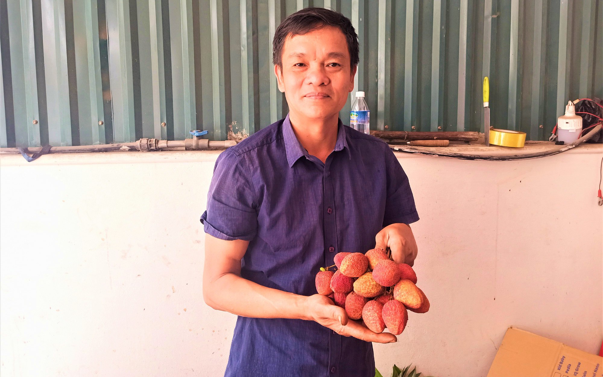 Đây là thứ quả ngon đặc sản Hải Dương to đến lạ, đơn từ Hà Nội xuống "tơi tới" mà chả đủ để bán