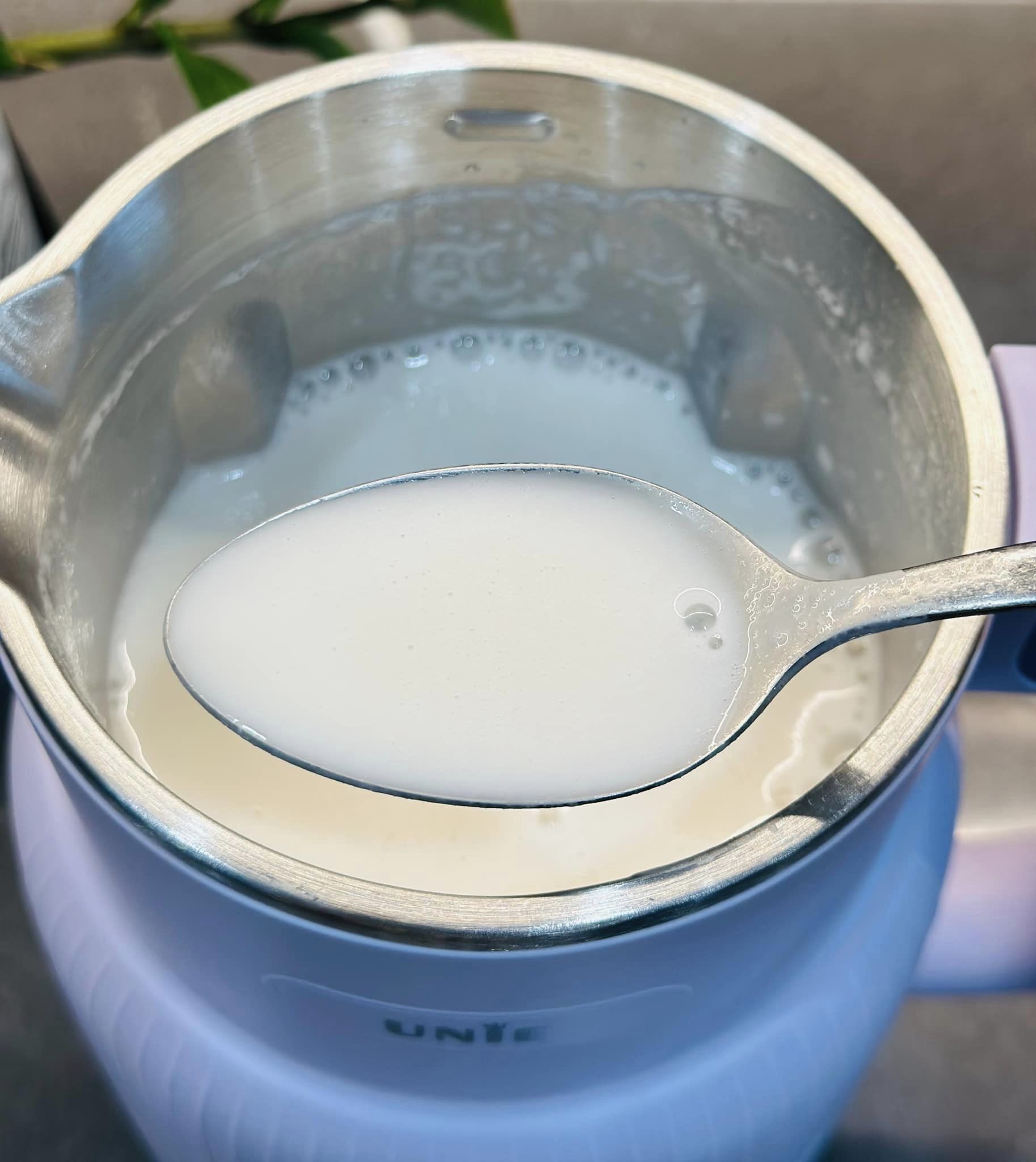 Trà sữa trân châu phiên bản sữa hạt, đảm bảo thơm ngon béo ngậy - Ảnh 3.