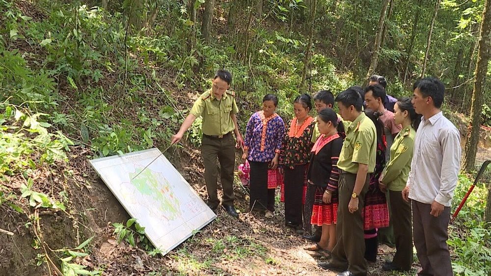 Lên huyện ngã ba biên giới Mường Nhé, nghe chuyện giữ rừng và hưởng lợi từ rừng - Ảnh 4.