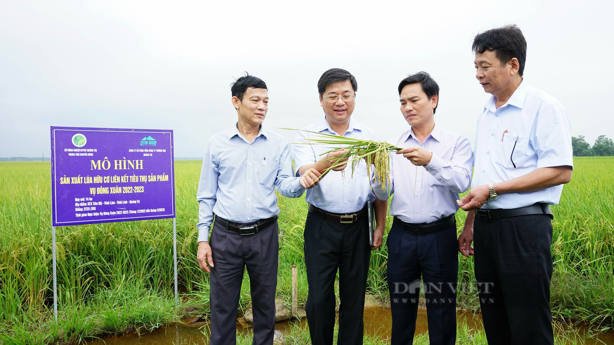 Dùng “thực phẩm chức năng” trồng lúa hữu cơ cho cánh đồng đầy cá, khách tây – ta thích thú xuống đồng - Ảnh 1.