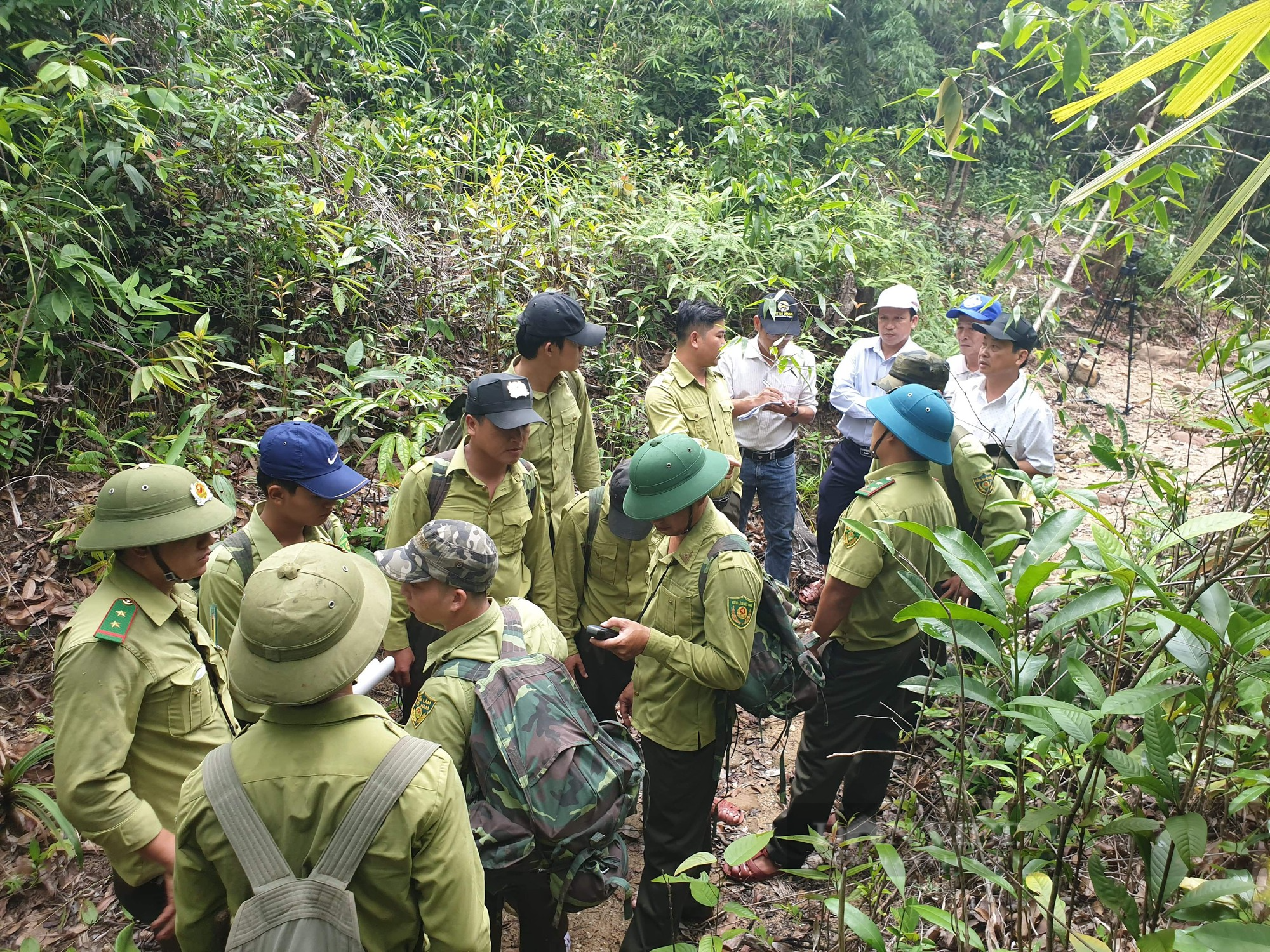 Bị Kiểm toán “tuýt còi”, Quảng Nam đề nghị bãi bỏ nghị quyết về hỗ trợ quản lý, bảo vệ rừng lưu vực thủy điện - Ảnh 3.