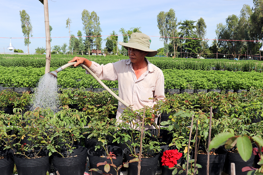 Hội Nông dân một xã ở An Giang có hơn 5.000 nông dân sản xuất, kinh doanh giỏi trong nhiệm kỳ 2018-2023 - Ảnh 1.
