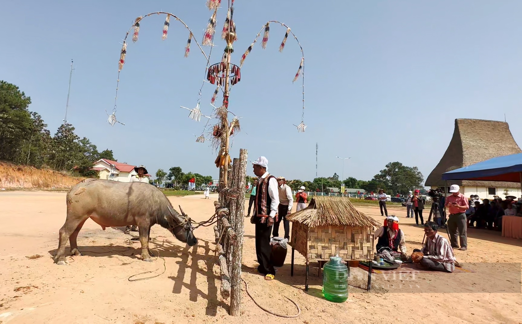 Độc đáo Lễ hội Mừng lúa mới của người Chu Ru ở Lâm Đồng với nghi lễ đâm trâu - Ảnh 6.