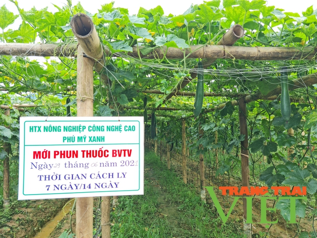Sản xuất nông nghiệp hữu cơ ở Điện Biên khó vì sao? - Ảnh 1.