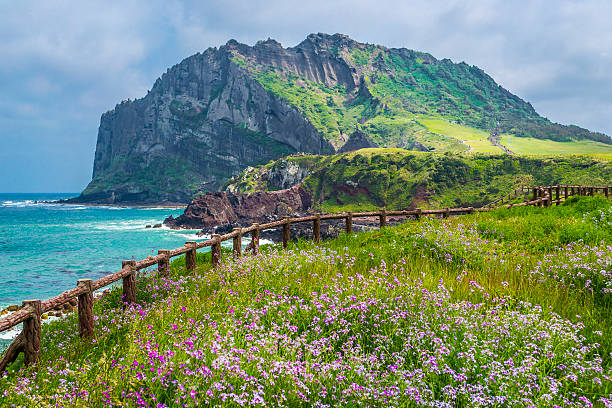 Du khách Việt có thể mất tiền để được vào đảo Jeju, Hàn Quốc - Ảnh 1.