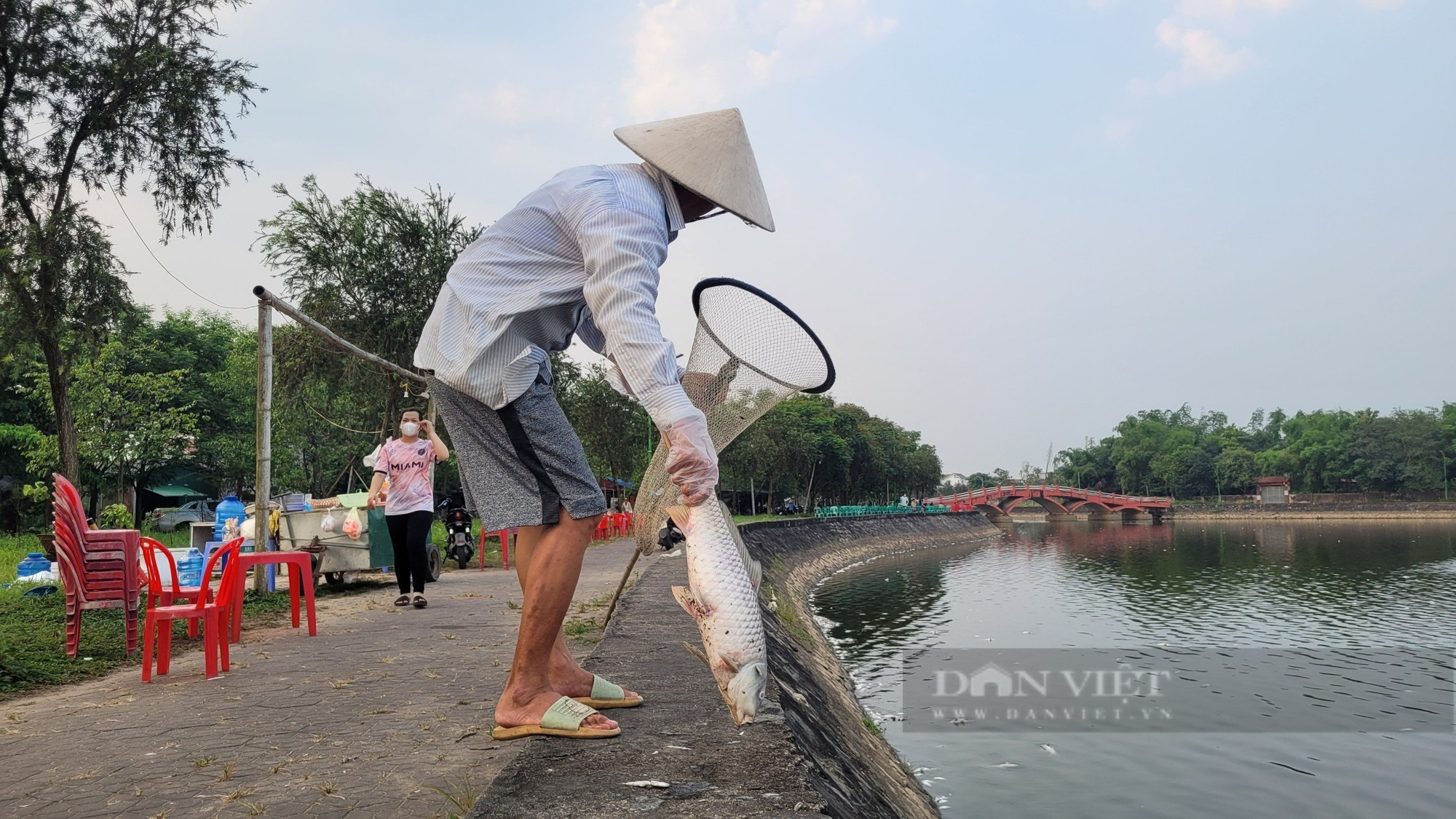 Hà Tĩnh: Cá chết trắng nổi lềnh bềnh trên mặt nước hồ điều hoà - Ảnh 4.