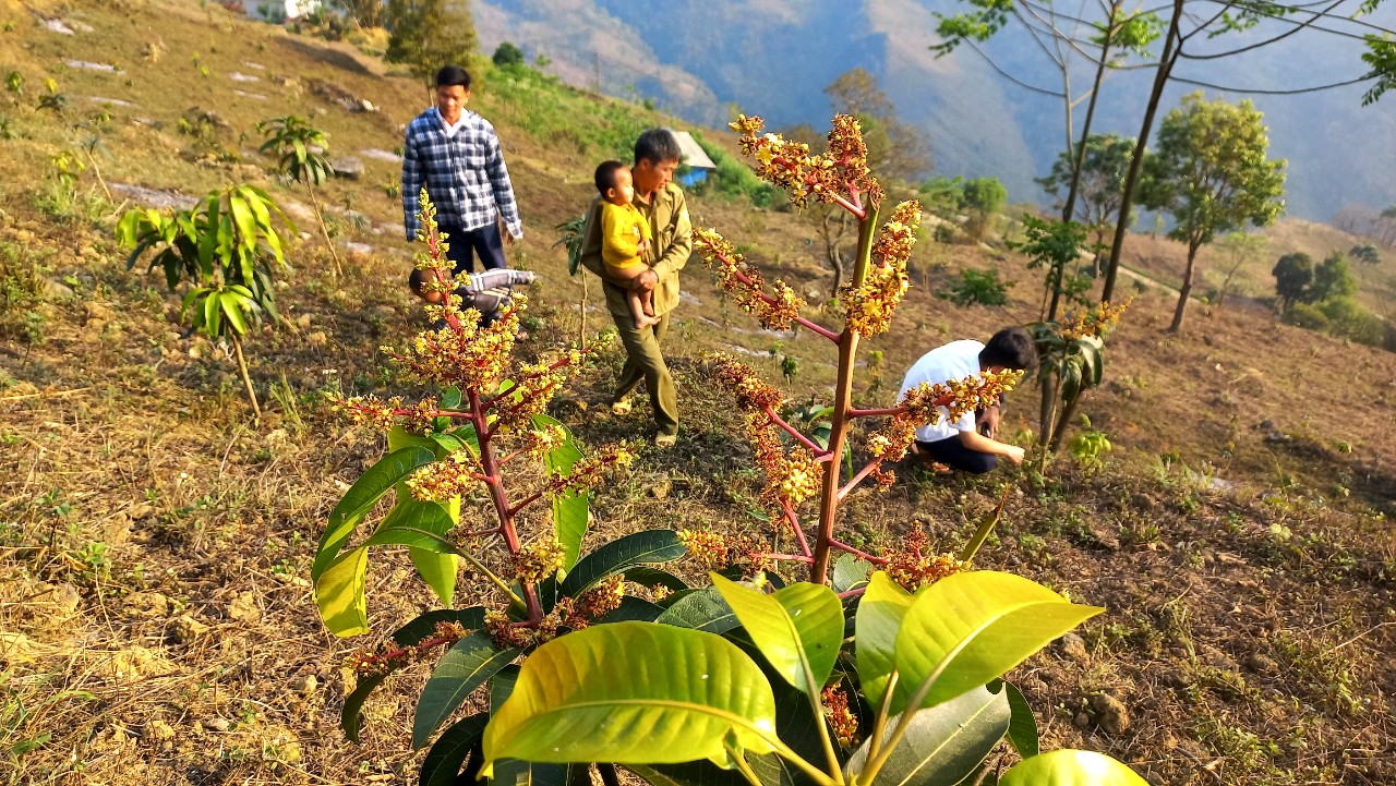 39 năm Báo NTNN ra số đầu tiên: Sẻ chia yêu thương tạo nên cổ tích giữa đời thường - Ảnh 10.